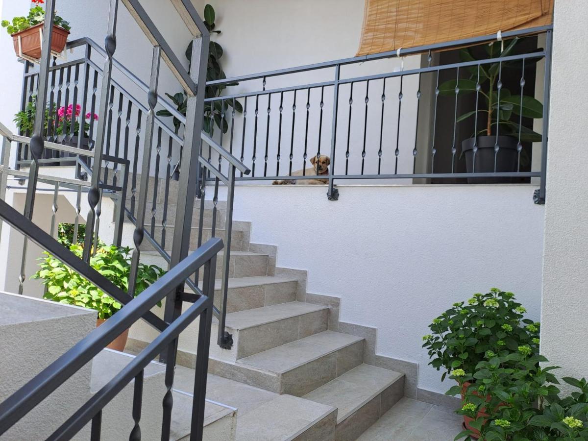 Sunshine Apartment Sovlje Tribalj Kültér fotó